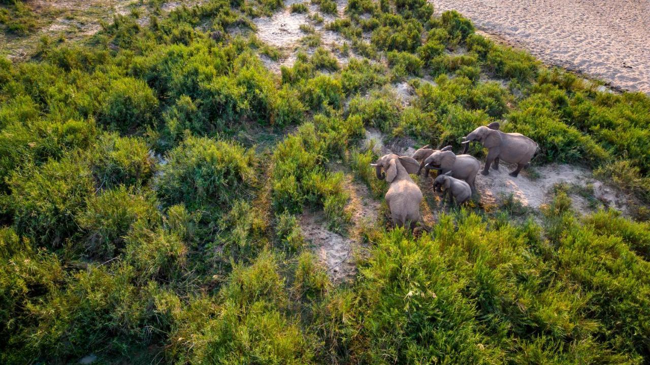 Buckler'S Africa Lodge Kruger Park Komatipoort Esterno foto