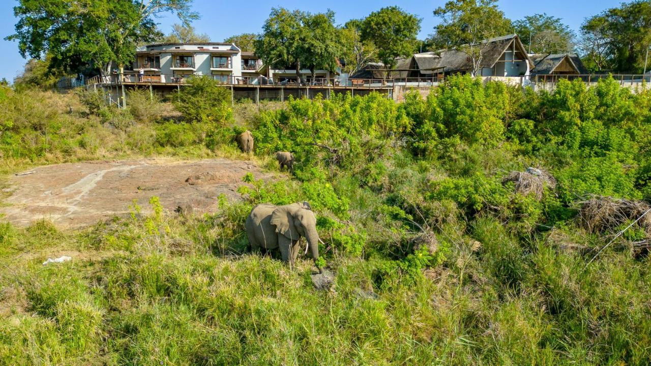 Buckler'S Africa Lodge Kruger Park Komatipoort Esterno foto