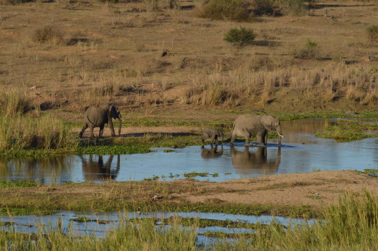 Buckler'S Africa Lodge Kruger Park Komatipoort Esterno foto